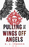 Pulling the Wings Off Angels